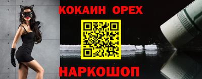 крисы Будённовск