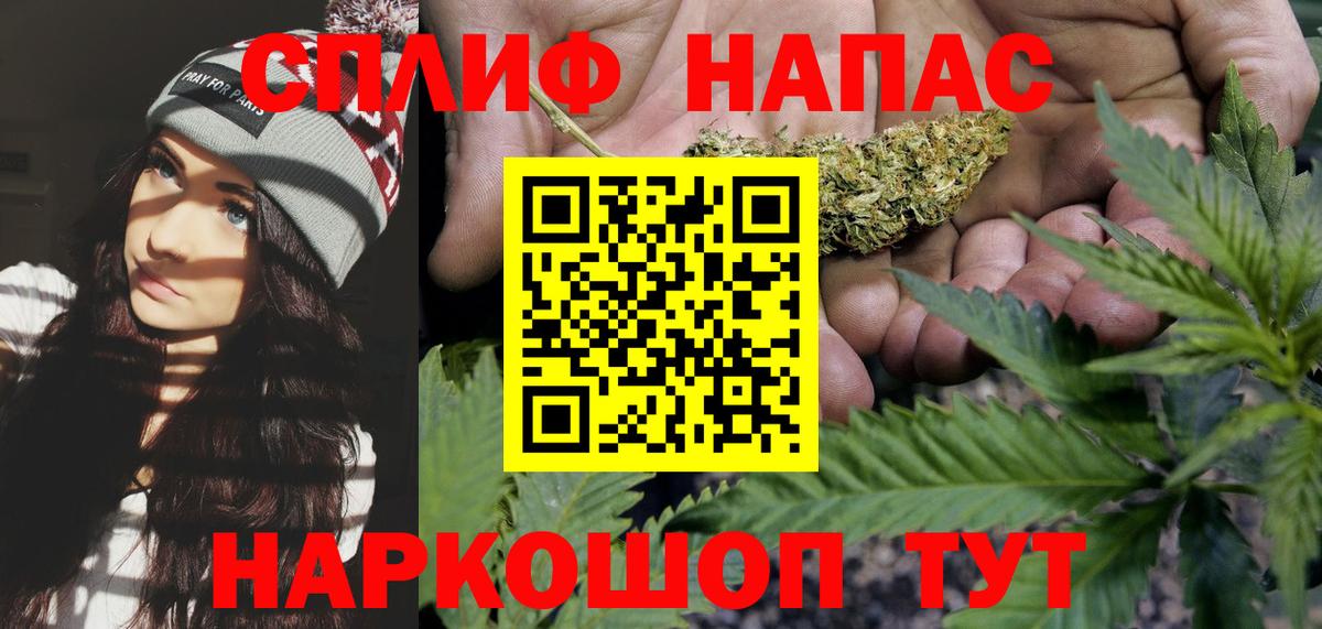 Каннабис планчик Балахна